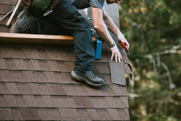 Roof Gutter Cleaning in Camanche Village, CA